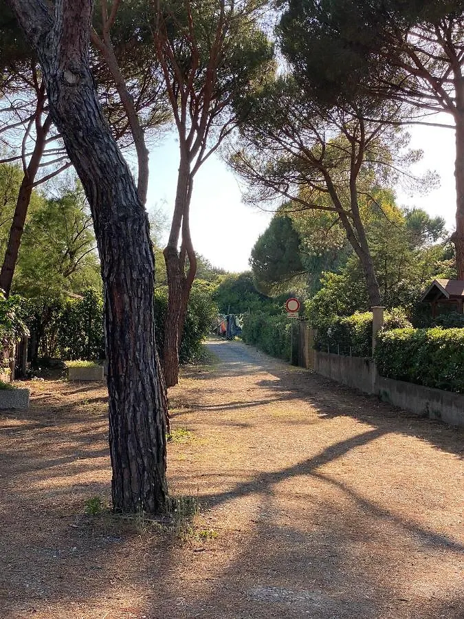 Appartamenti Vacanze Marina Di Bibbona Italy